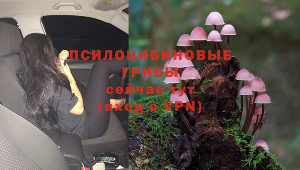 кокаин премиум Алексеевка