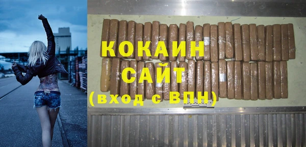 прущий лед Алзамай